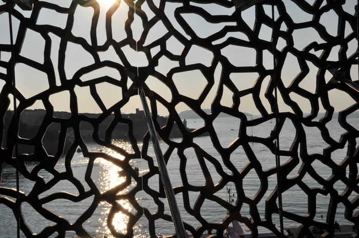 植物, 木头, 地毯, 树, 耀斑, 光, 灯柱, 阳光