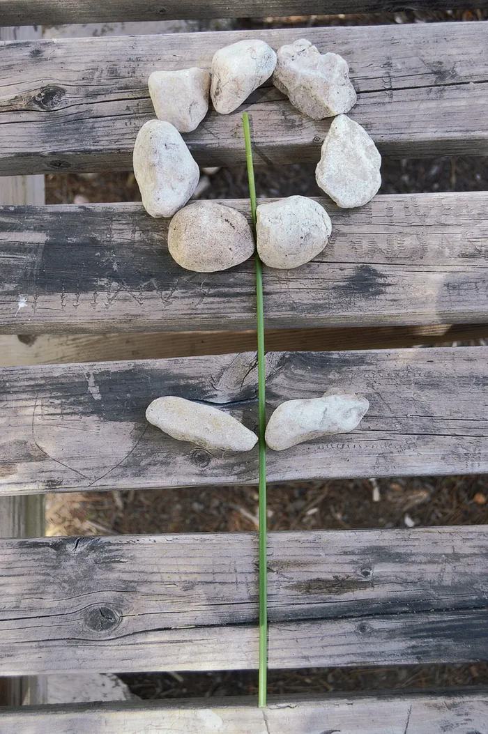 自然构图，质朴，石头，木材，背景，木质材料，没有人，高角度观看