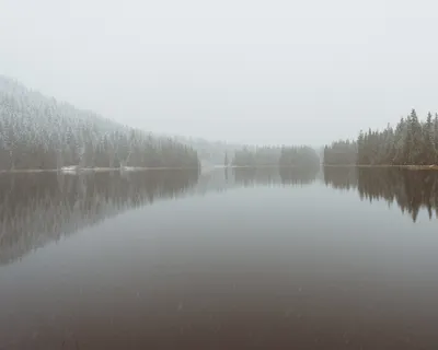 照片，平静，身体，水，树木，覆盖，雾，包围