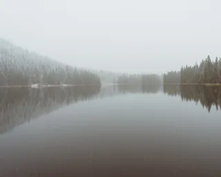 照片，平静，身体，水，树木，覆盖，雾，包围