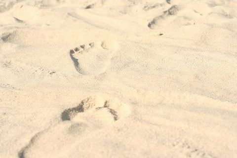 沙滩上的脚印，照片，脚印，沙滩，自然，冬天，没有人