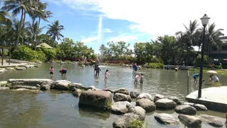 亲水、蛤蜊、，蠣, 触摸，夏天，蛤蜊蠣, 假日、海滩