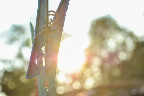 阿根廷，卡塞罗斯山，早晨，白天，聚焦前景，镜头光斑，阳光，特写