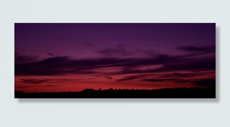 剪影，树木，橙色，天空，日落，云朵，自然，黑暗