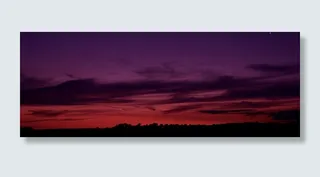 剪影，树木，橙色，天空，日落，云朵，自然，黑暗