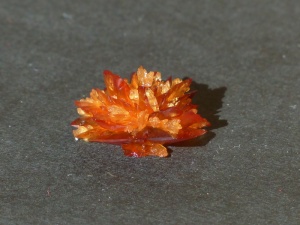 奶油，酒石，水晶，酒石奶油，酒石酸钙，酒石酸，酒石酸氢钾，比特钾艺术委员会