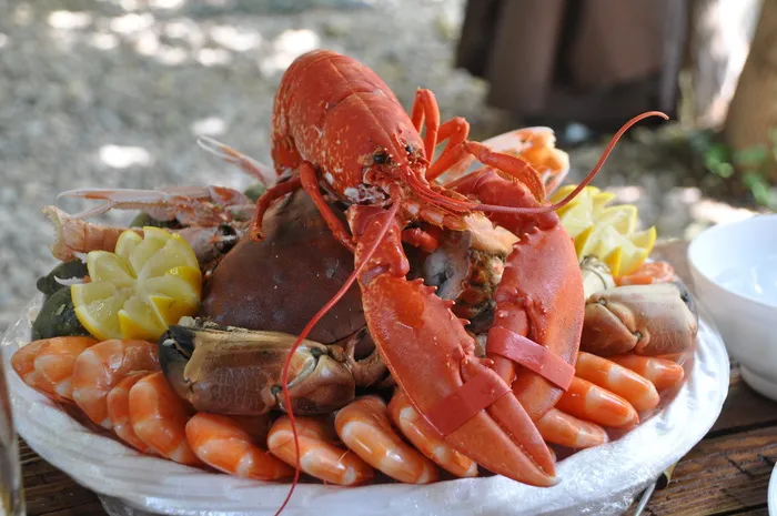 龙虾，虾菜，白，陶瓷，碗，海鲜拼盘，甲壳类动物，食物