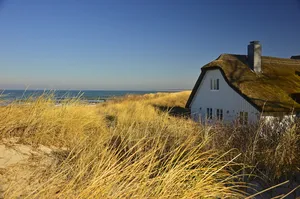 房屋，茅草屋，沙丘，沙丘景观，海岸，景观，自然，波罗的海