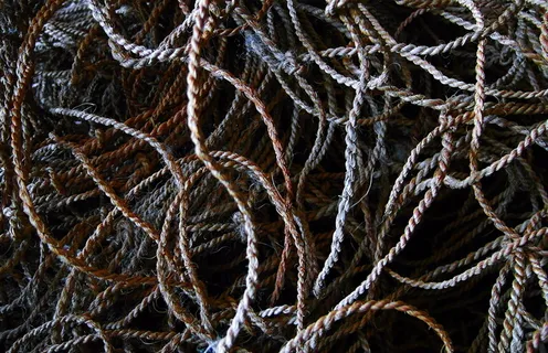 绳子, 结, 螺旋, 线圈, 模式, 海绵, 蹦极, 昆虫