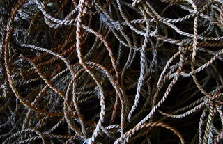 绳子, 结, 螺旋, 线圈, 模式, 海绵, 蹦极, 昆虫