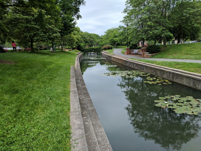 睡莲垫、户外、frederick md、植物、水、树、倒影、草