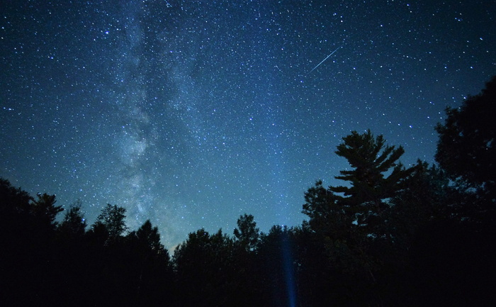 银河，树梢，恒星-空间，天文学，空间，树，夜晚