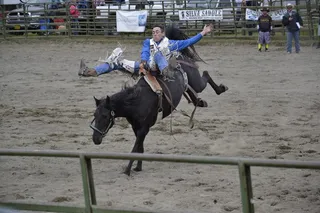 牛仔竞技、马、阿拉斯加、牛仔、马术、动物、竞技场、快速