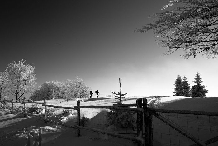 栅栏，雪，冬天，树，植物，旅行，人，远足