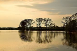 剪影，树，山，湖，雷雨，雨，心情，神秘