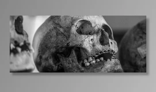 选择性，对焦，拍照，灰色，头骨，老年人，人类头骨，黑白