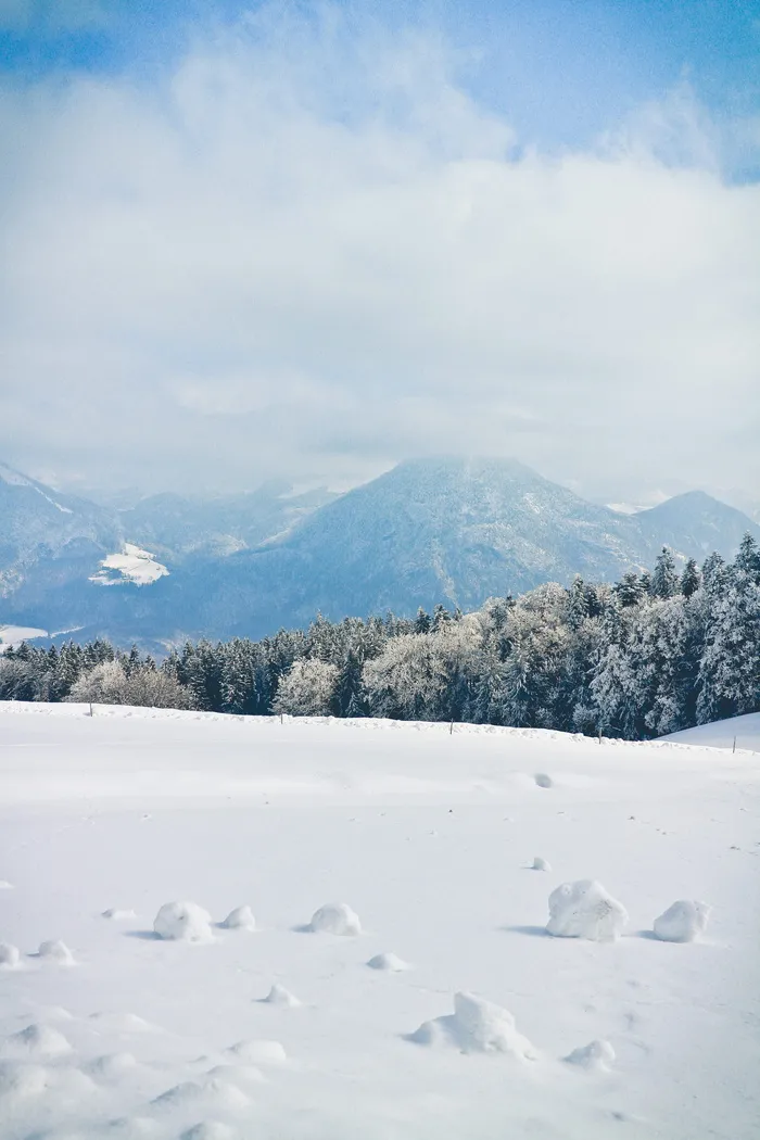 山脉、阿尔卑斯山、阿尔卑斯山、树木、森林、雪、冰、寒冷