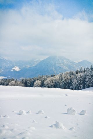 山脉、阿尔卑斯山、阿尔卑斯山、树木、森林、雪、冰、寒冷