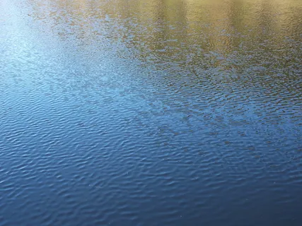 水,微风,湖泊,水面,背景,涟漪,蓝色,全画框 水,微风,湖泊,水面,背景,涟漪,蓝色,全画框
