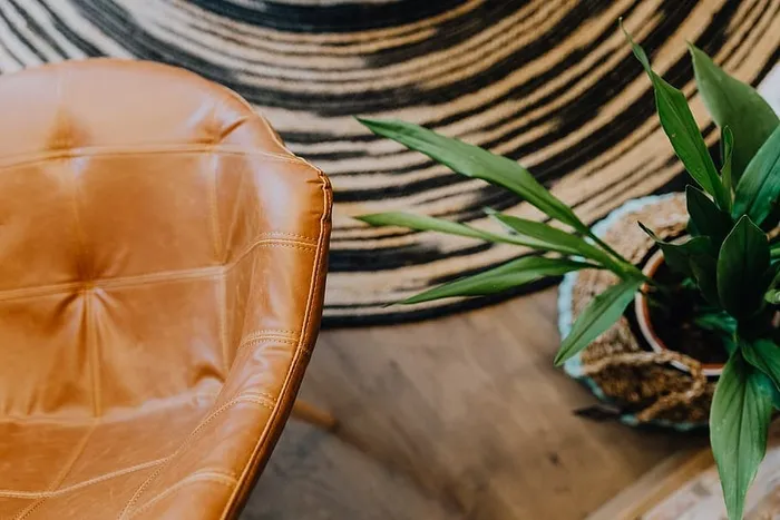 带有绿色植物的现代室内细节