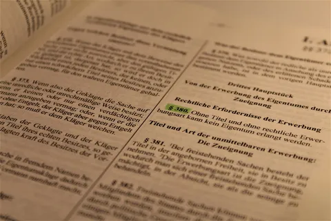 律师，法律，法律文本，律师，条款，权利，jura，jus