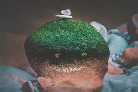 摩洛哥, 艾西拉, 生活, 是, 乐趣, 快乐, 绿色, 爱 摩洛哥, 艾西拉, 生活, 是, 乐趣, 快乐, 绿色, 爱