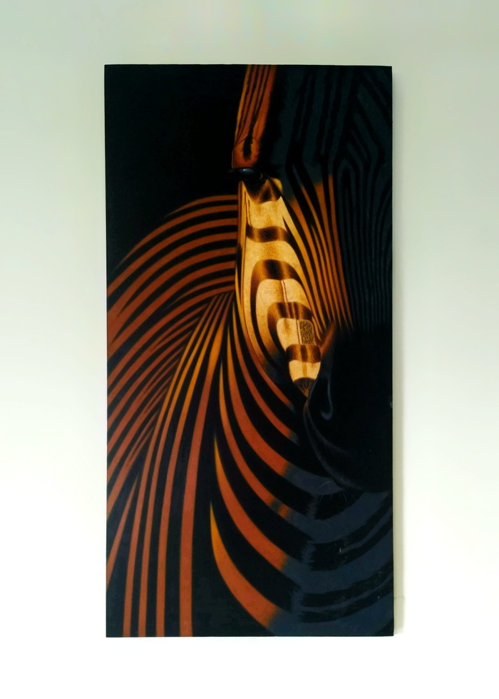 绘画，墙壁，斑马，锁屏壁纸，自动后期制作过滤器，工作室拍摄，转移打印，室内