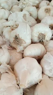 大蒜,香料,蔬菜,素食者,素食者,食品,蔬菜,食品和饮料 大蒜,香料,蔬菜,素食者,素食者,食品,蔬菜,食品和饮料