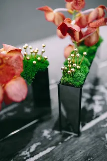 长方形盒子里的小型观赏植物 长方形盒子里的小型观赏植物