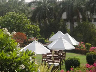 景观, 餐厅, 假期, 春天, 花园, 酒店, 假期, 植物