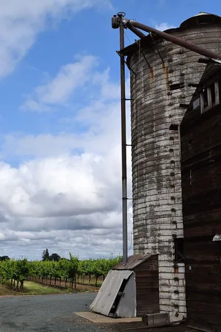 葡萄园，葡萄藤，葡萄藤，葡萄酒，自然，农业，建筑，天空
