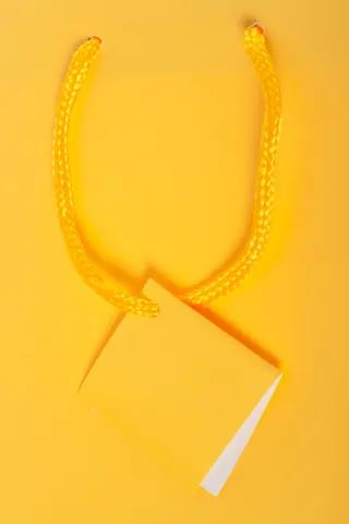 包、生日、携带、商业、消费主义、客户、eve