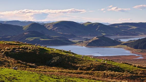 绿色，山，身体，水，白天，棕色，山，小山