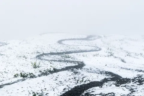 小路,远去,吞没,曲线,雾,雪,冬天,不确定 小路,远去,吞没,曲线,雾,雪,冬天,不确定
