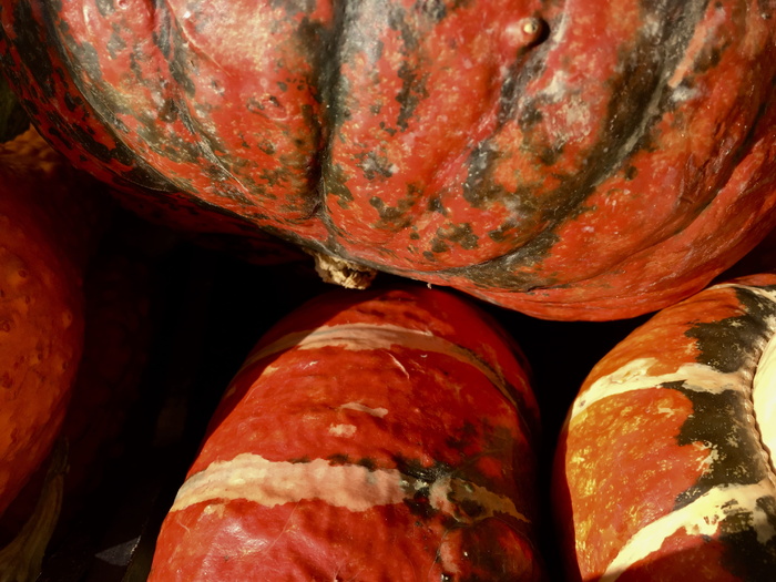 南瓜、天然、生物、秋季、装饰、中空、自然、特写