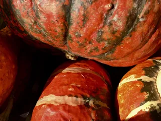 南瓜、天然、生物、秋季、装饰、中空、自然、特写