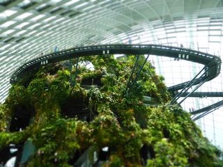 新加坡、滨海湾金沙、热带、人行道、高架、植物、温室、潮湿