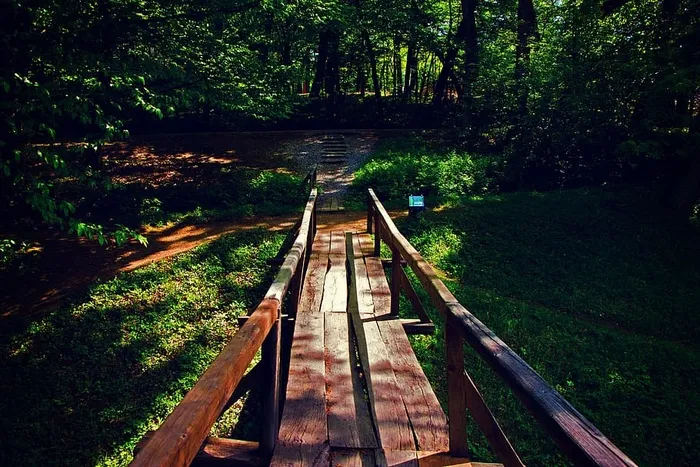 黄金时段森林附近的棕色木桥