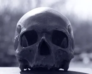 头骨和交叉骨，头骨，人类，头，脸，骨头，死亡，凡人