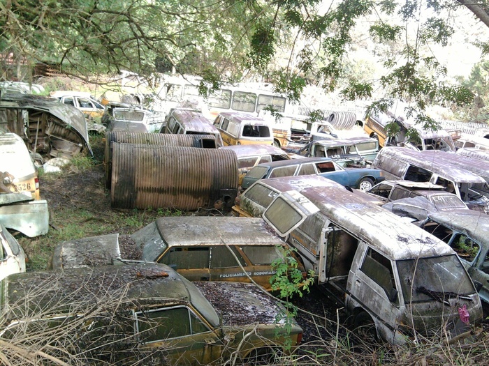 租车、垃圾场、铁锈、废弃、树木、损坏、废弃、工厂