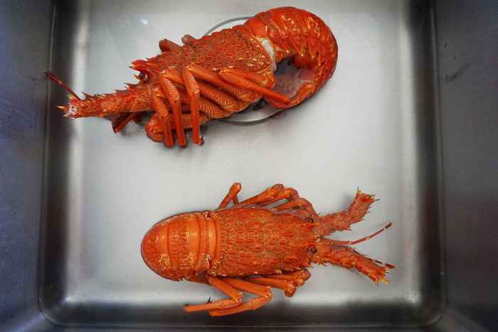 小龙虾、熟的、水槽、贝类、海鲜、爪子、食物、红色