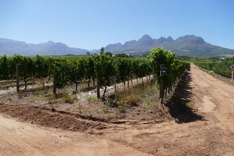 Stellenbosch，景观，葡萄园，葡萄酒园，南非，道路，树木，山脉