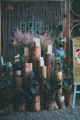 木柱顶部展示的盆栽植物