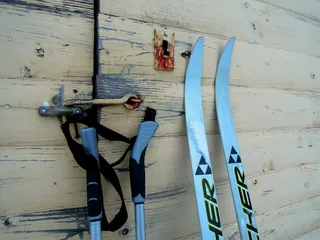 滑雪板, 棒, 滑雪, 滑雪, 滑雪者, 雪, 冬天, 自然