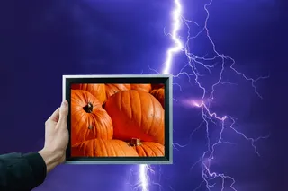 南瓜，水果，橙色，秋天，南瓜，选择，大，巨大