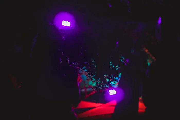 森林, 音乐, 节日, 技术, 树, 灯, 多彩, 夜