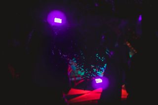 森林, 音乐, 节日, 技术, 树, 灯, 多彩, 夜