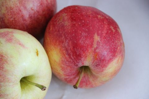 苹果、水果、食品、有机、新鲜、健康、红色、天然