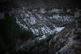 法国，阿尔卑斯山，冬天，树木，森林，岩石，阿尔卑斯山，雪