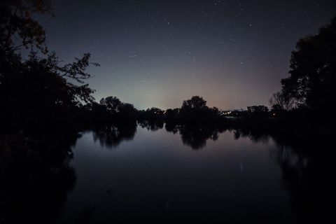 水体附近树木的轮廓